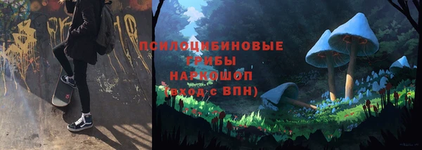 бутират Баксан