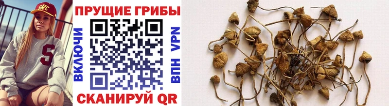гидра ССЫЛКА  Ярцево  Псилоцибиновые грибы Cubensis  где купить наркоту 