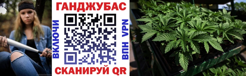 Бошки марихуана OG Kush  купить наркоту  сайты даркнета наркотические препараты  Ярцево 